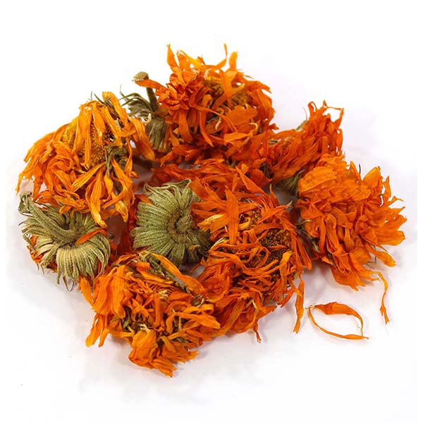 Organic Natural Herbs for Export and Import Co. - Fresh Natural Herbs From Fields To Clients
