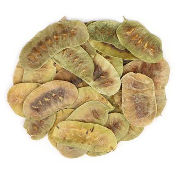 Organic Natural Herbs for Export and Import Co. - Fresh Natural Herbs From Fields To Clients