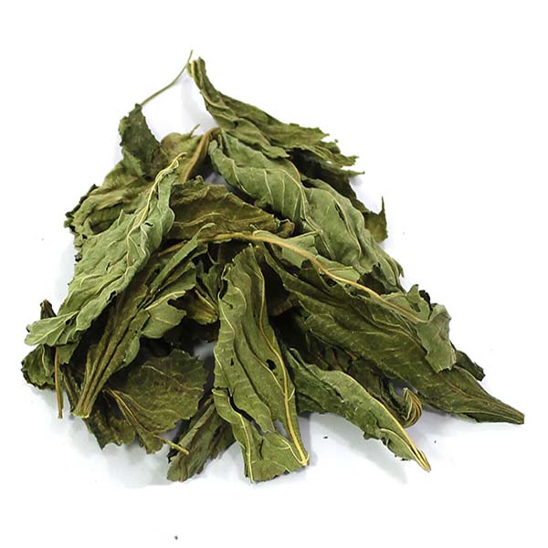 Organic Natural Herbs for Export and Import Co. - Fresh Natural Herbs From Fields To Clients