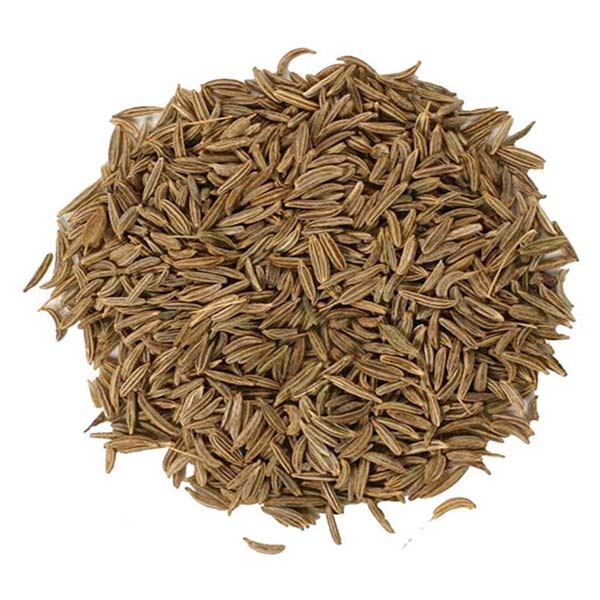 Organic Natural Herbs for Export and Import Co. - Fresh Natural Herbs From Fields To Clients