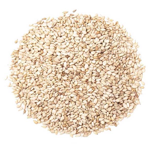 Organic Natural Herbs for Export and Import Co. - Fresh Natural Herbs From Fields To Clients