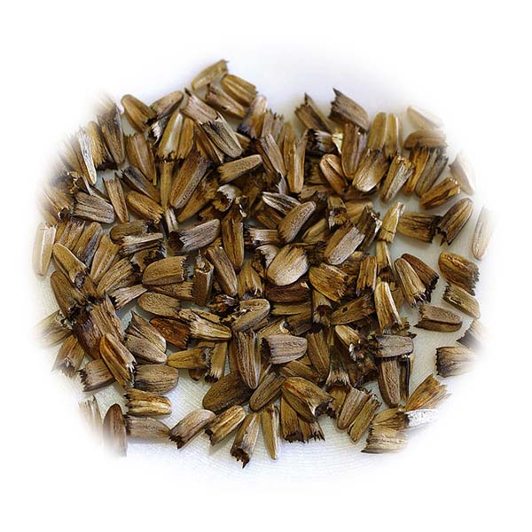 Organic Natural Herbs for Export and Import Co. - Fresh Natural Herbs From Fields To Clients