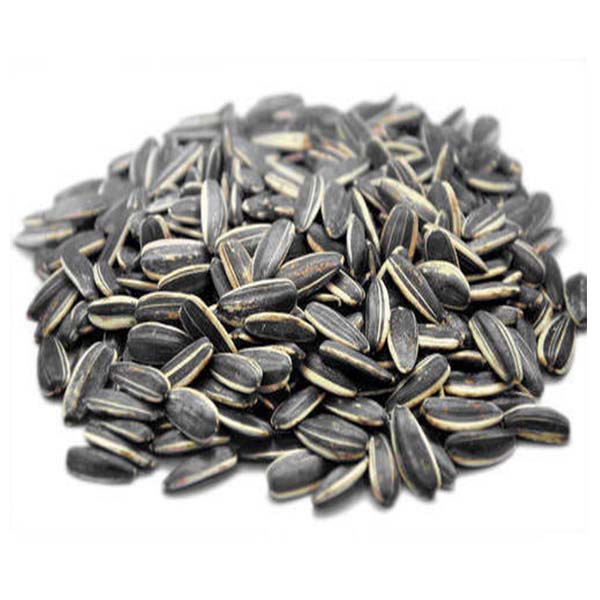 Organic Natural Herbs for Export and Import Co. - Fresh Natural Herbs From Fields To Clients