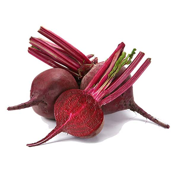 Organic Natural Herbs for Export and Import Co. - Fresh Natural Herbs From Fields To Clients