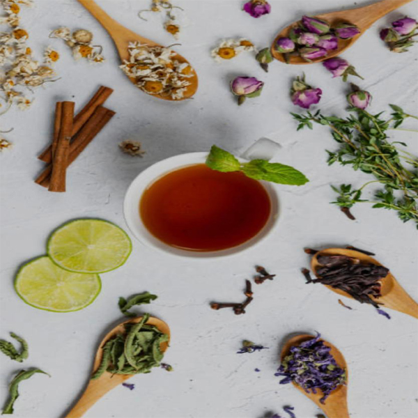 Organic Natural Herbs for Export and Import Co. - Fresh Natural Herbs From Fields To Clients